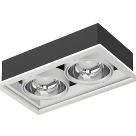 Models double ceiling light